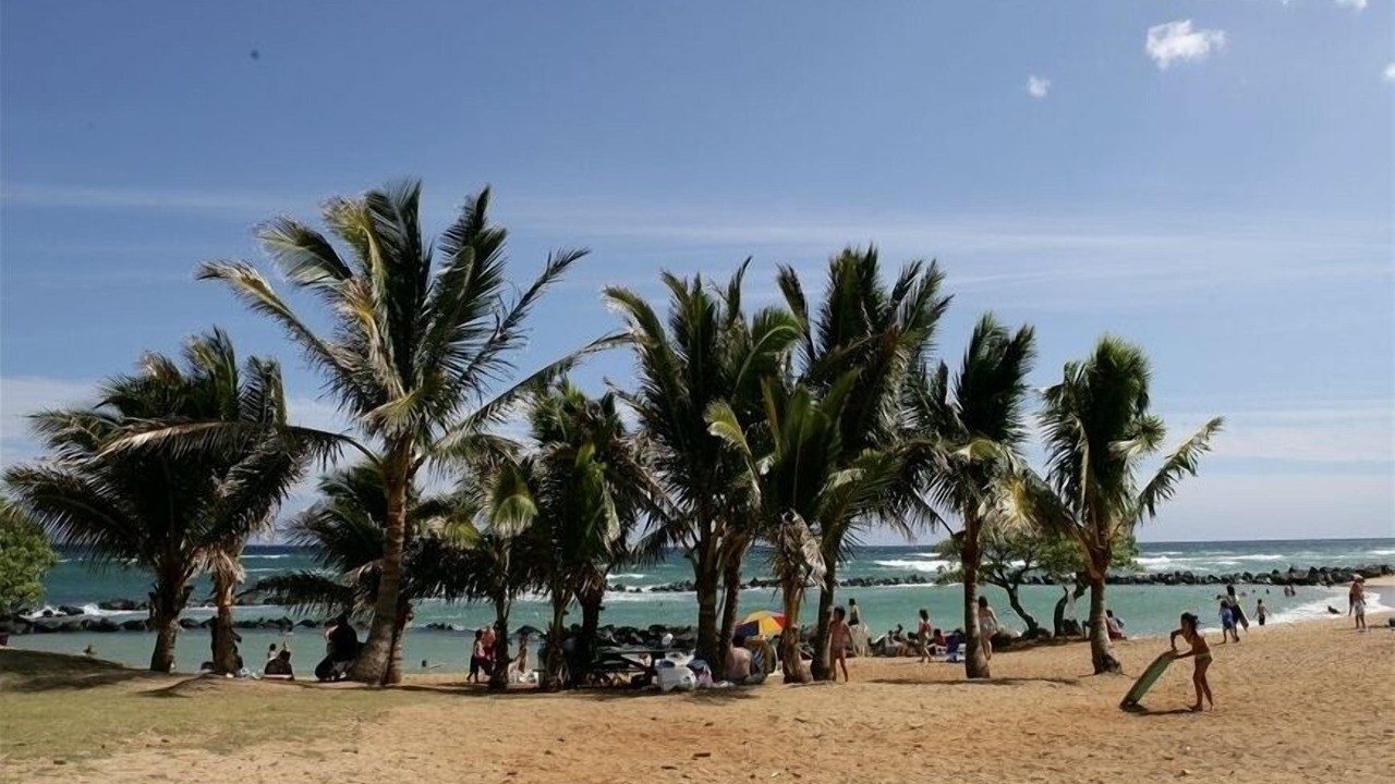 Photo of Others in Wailua