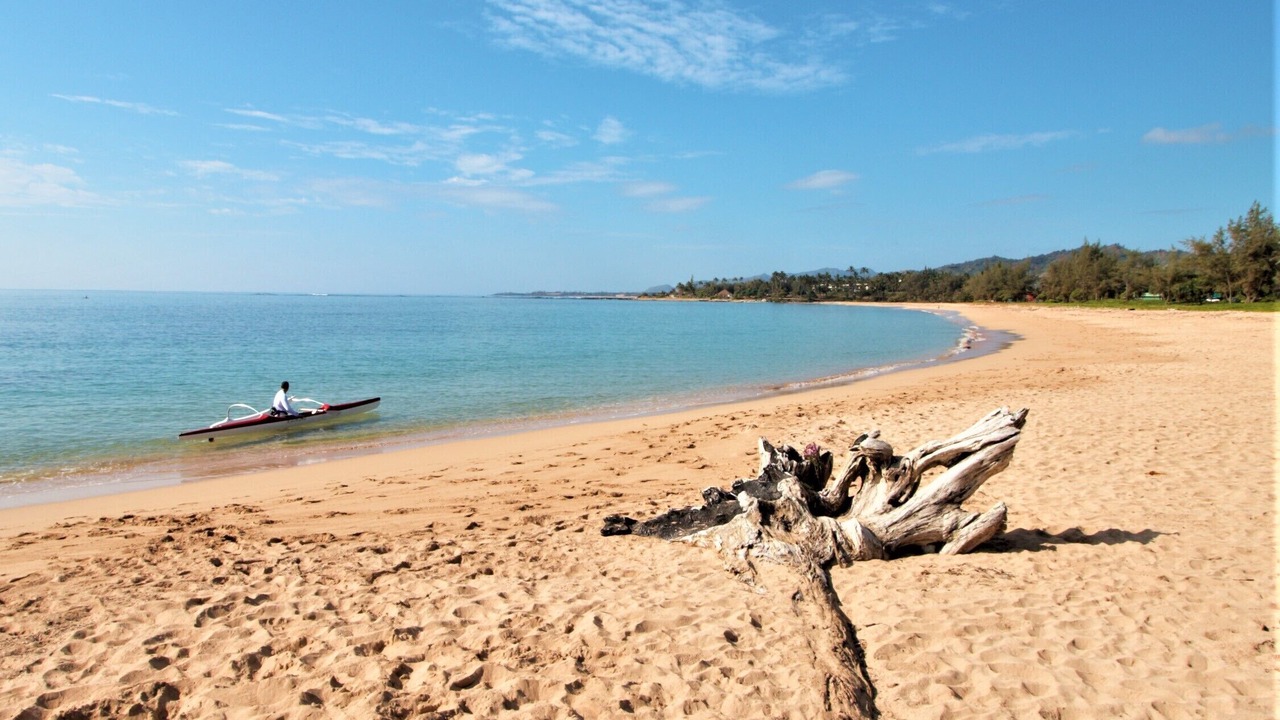 Photo of Others in Wailua