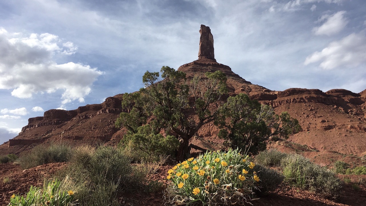 Photo of Outdoor in Moab