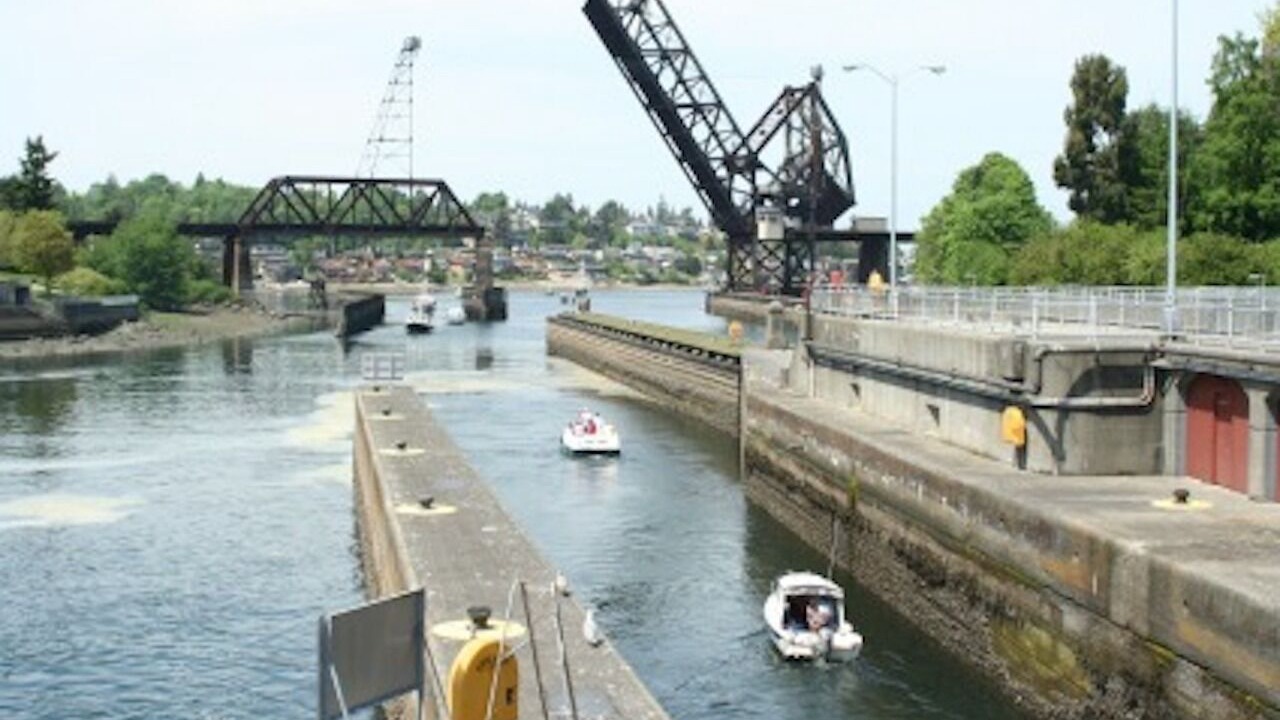 Photo of Others in Ballard