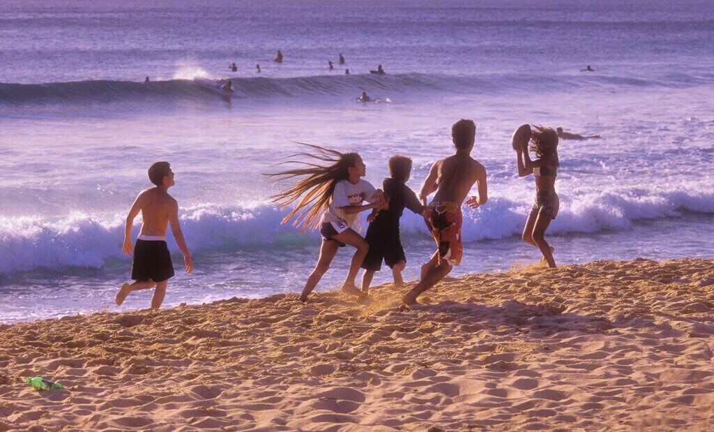 Photo of Others in Del Mar Heights