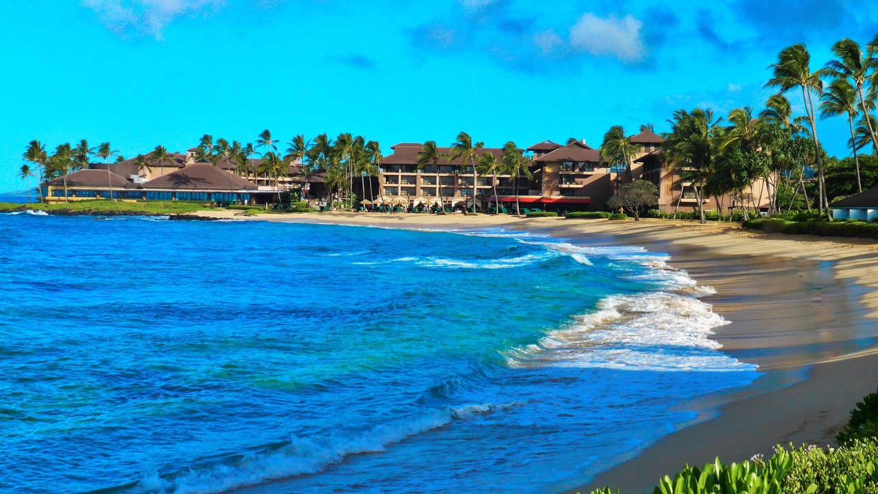 Photo of Others in Poipu