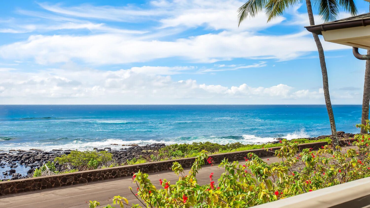 Photo of Others in Poipu
