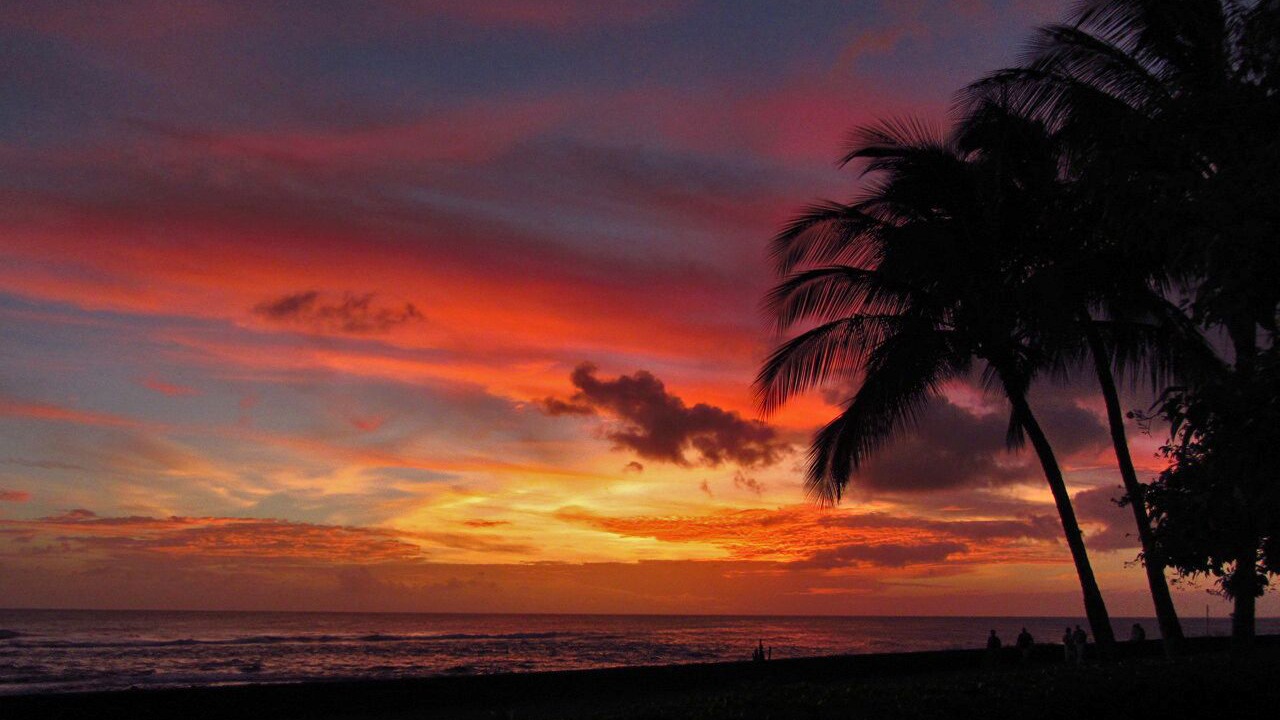 Photo of Others in Poipu