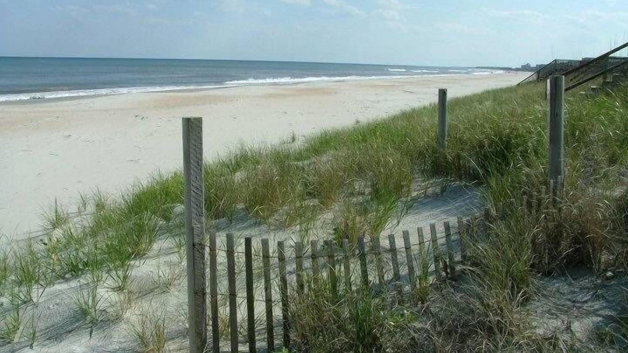 Photo of Others in Pawleys Island