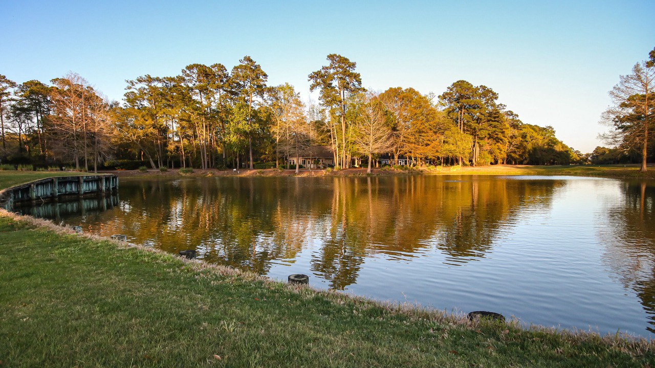 Photo of Outdoor in Pawleys Island