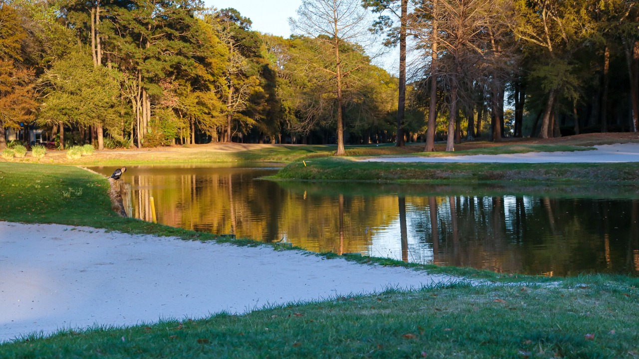 Photo of Outdoor in Pawleys Island