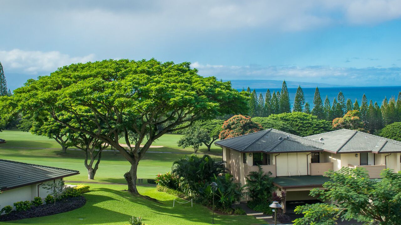 Photo of Others in Kapalua