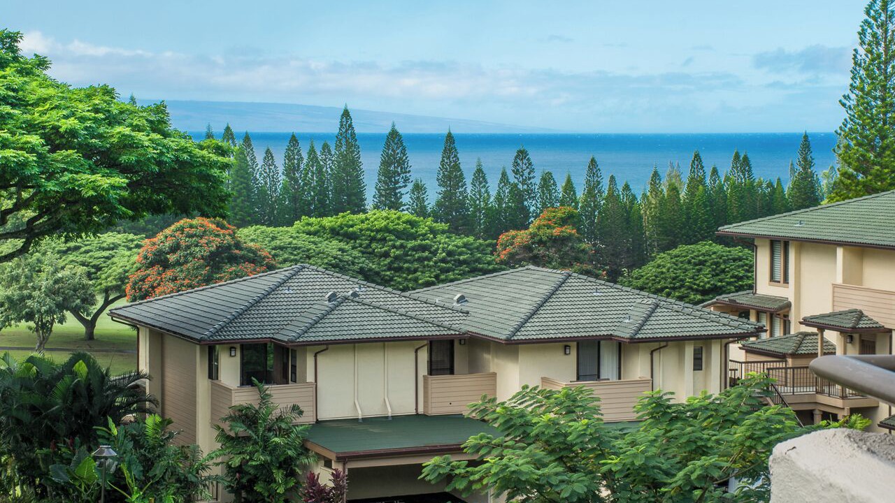 Photo of Others in Kapalua