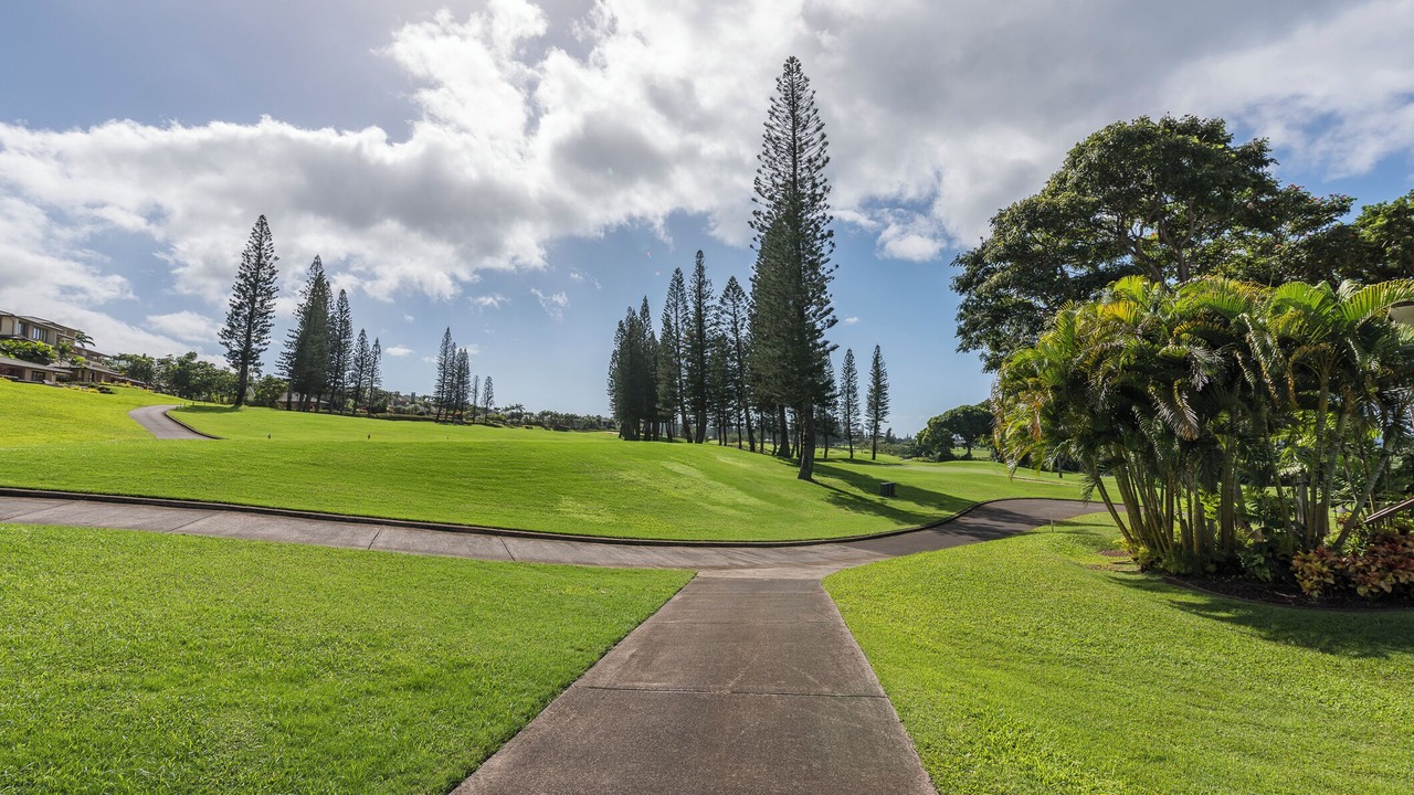 Photo of Others in Kapalua