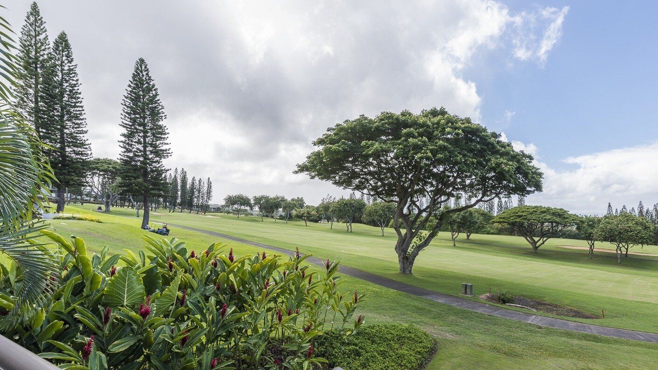 Photo of Outdoor in Kapalua