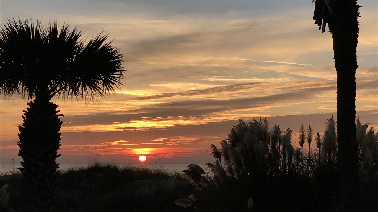 Photo of Others in North Forest Beach