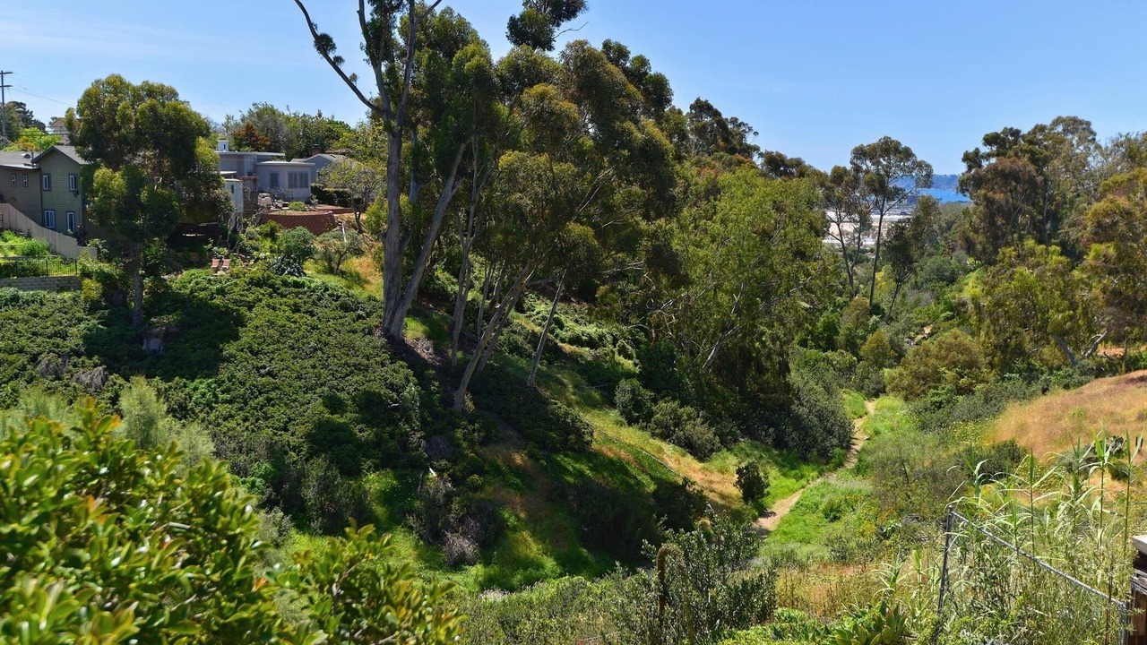 Photo of Others in Mission Hills