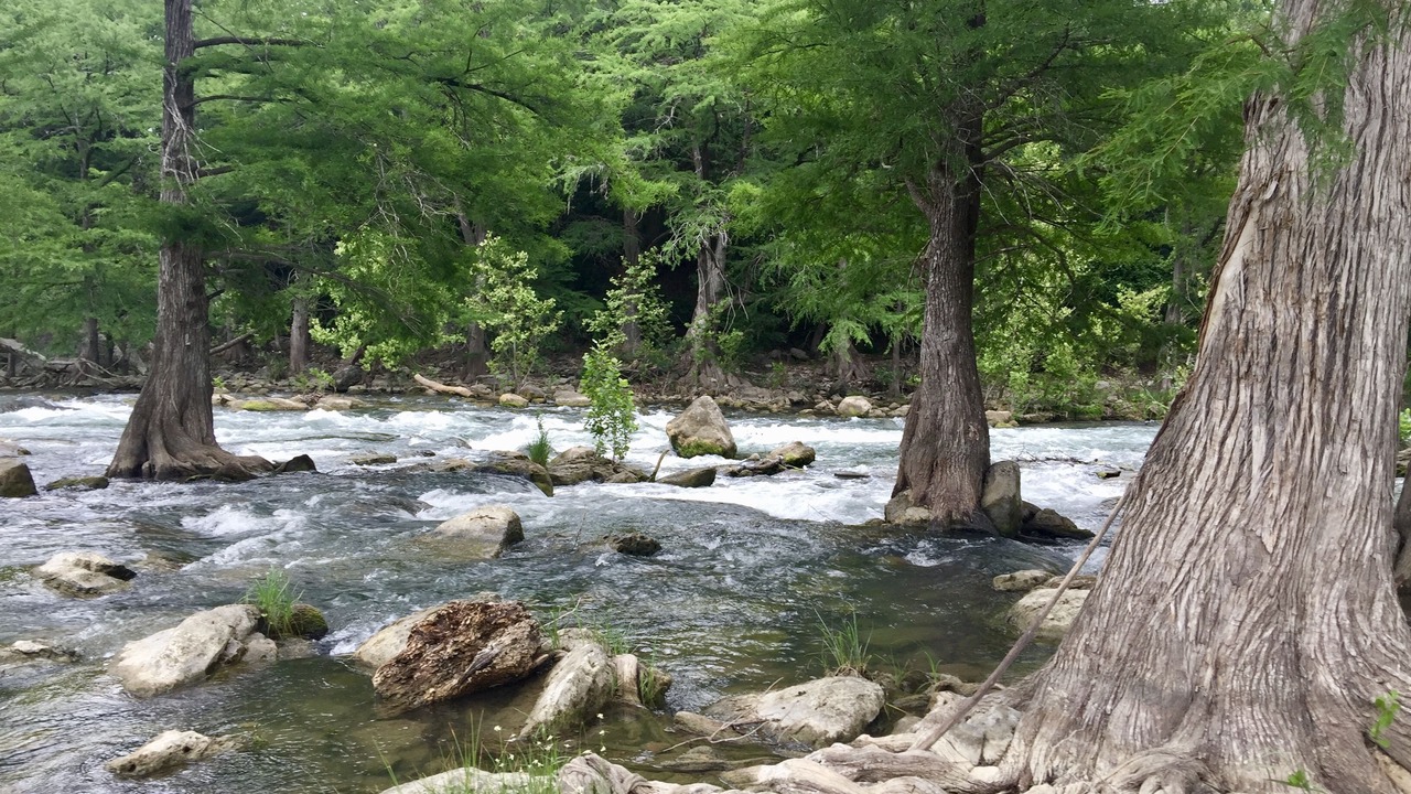 Photo of Others in Gruene