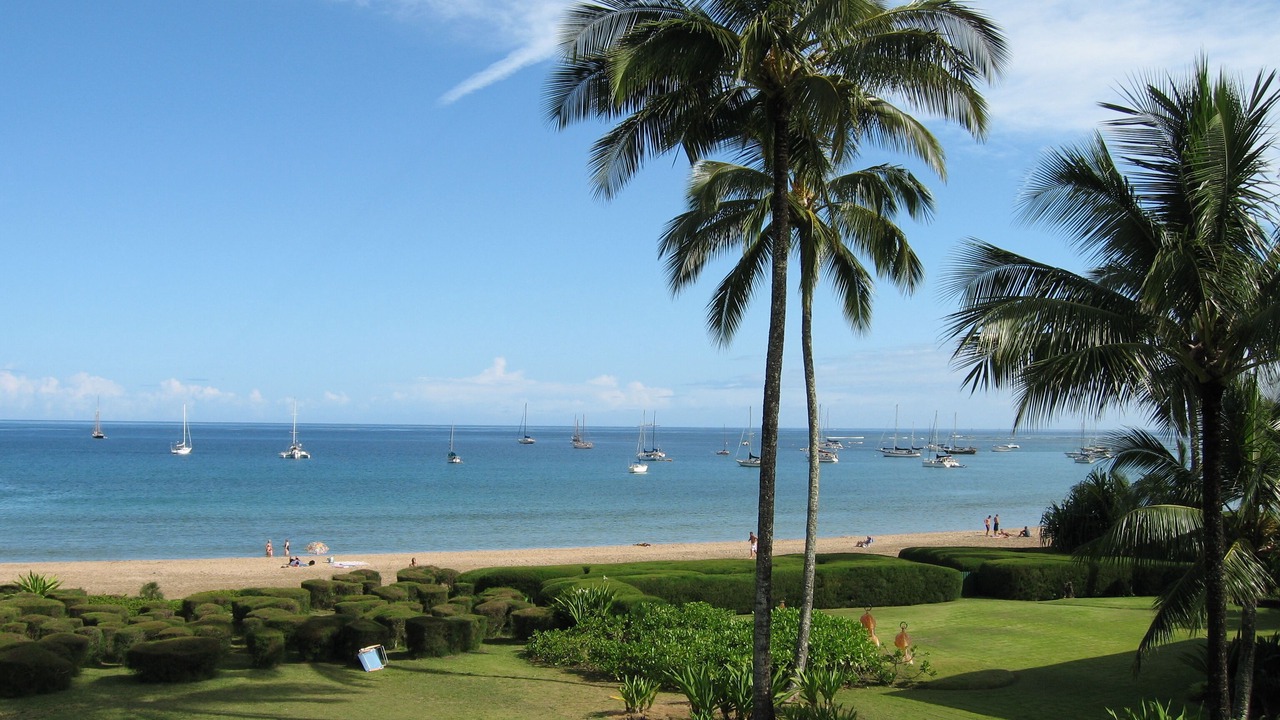 Photo of Others in Hanalei