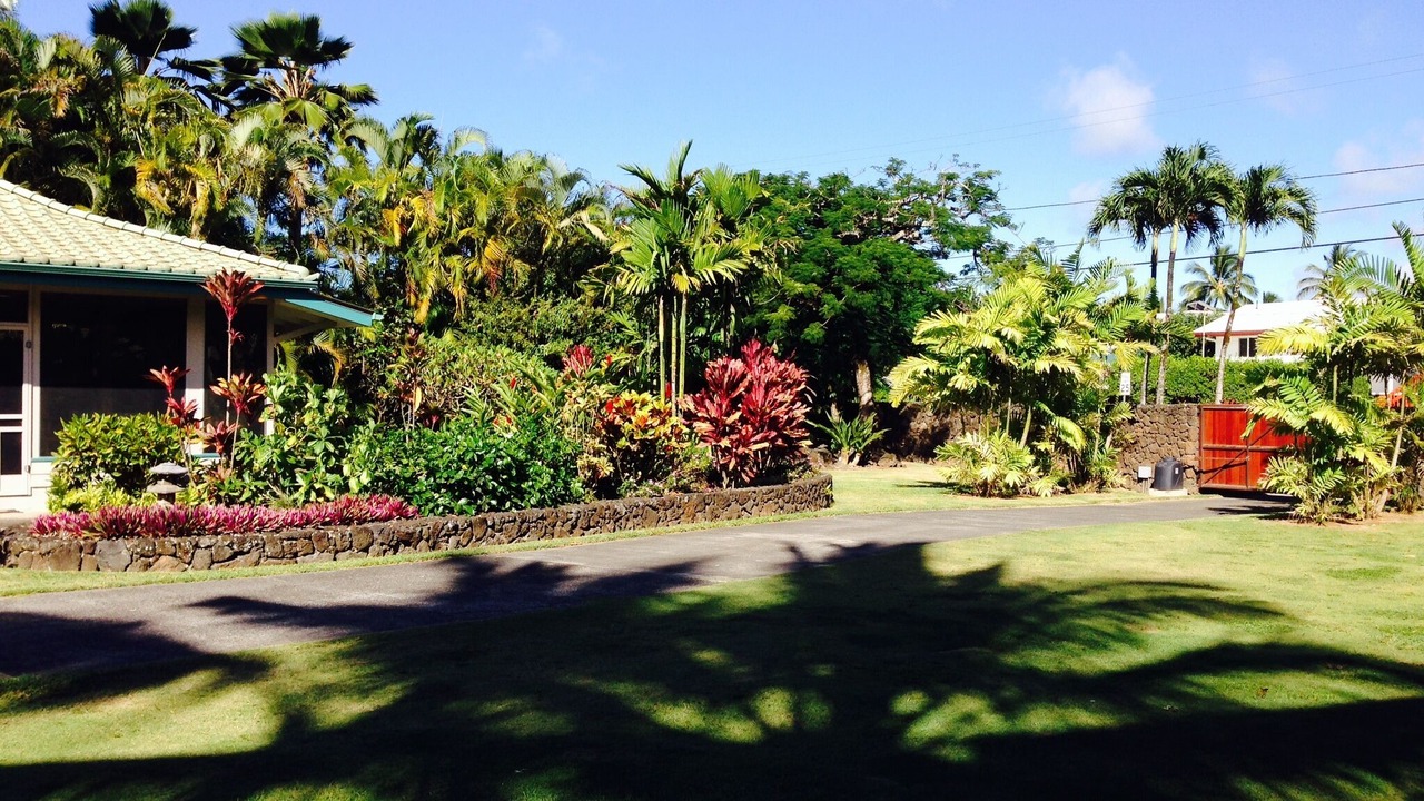 Photo of Outdoor in Hanalei