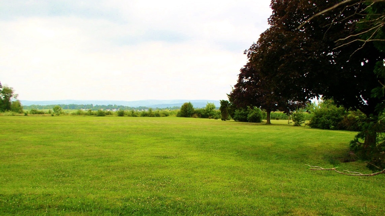 Photo of Others in Gettysburg
