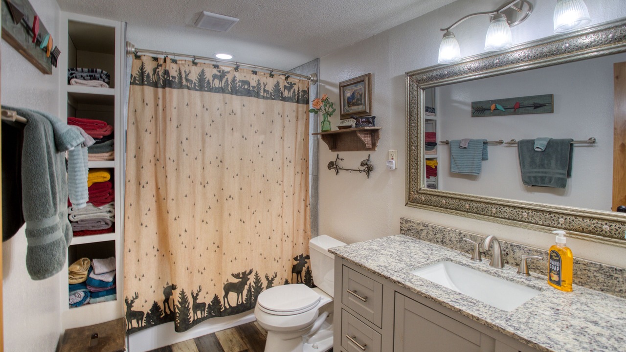 Photo of Bathroom in Pinetop