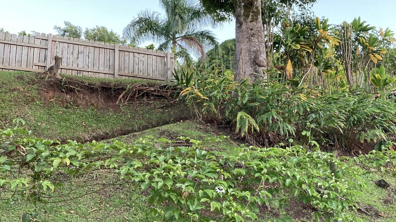 Photo of Others in Wainiha