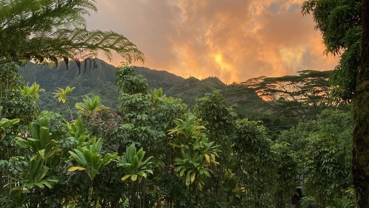 Photo of Others in Wainiha