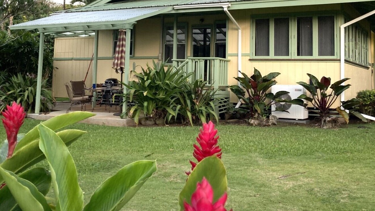 Photo of Others in Wainiha