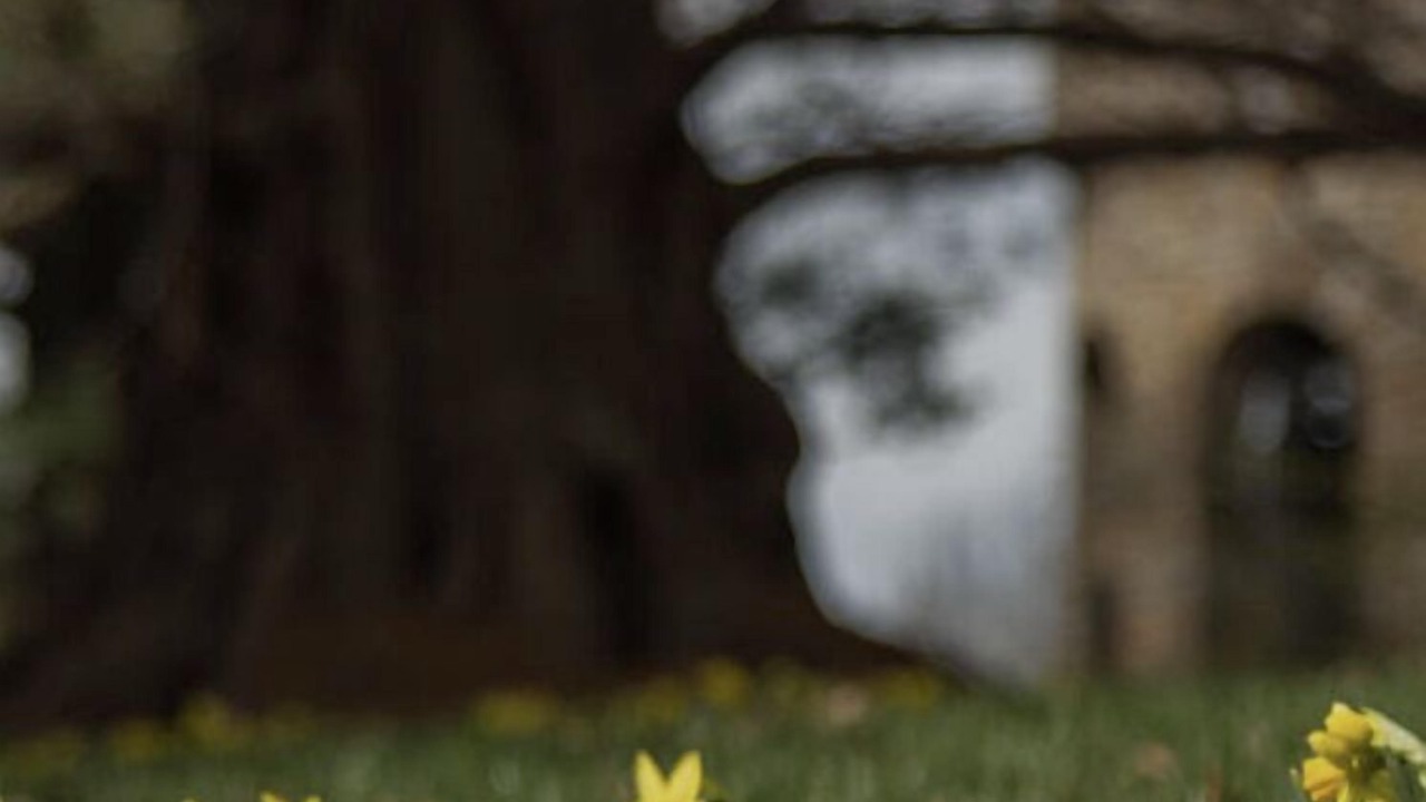 Photo of Others in Garnet Valley
