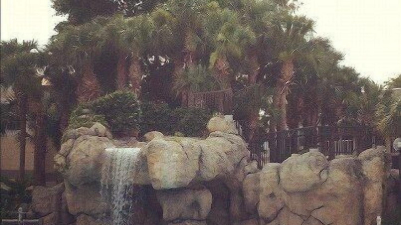 Photo of Outdoor in Florida Central Atlantic Coast