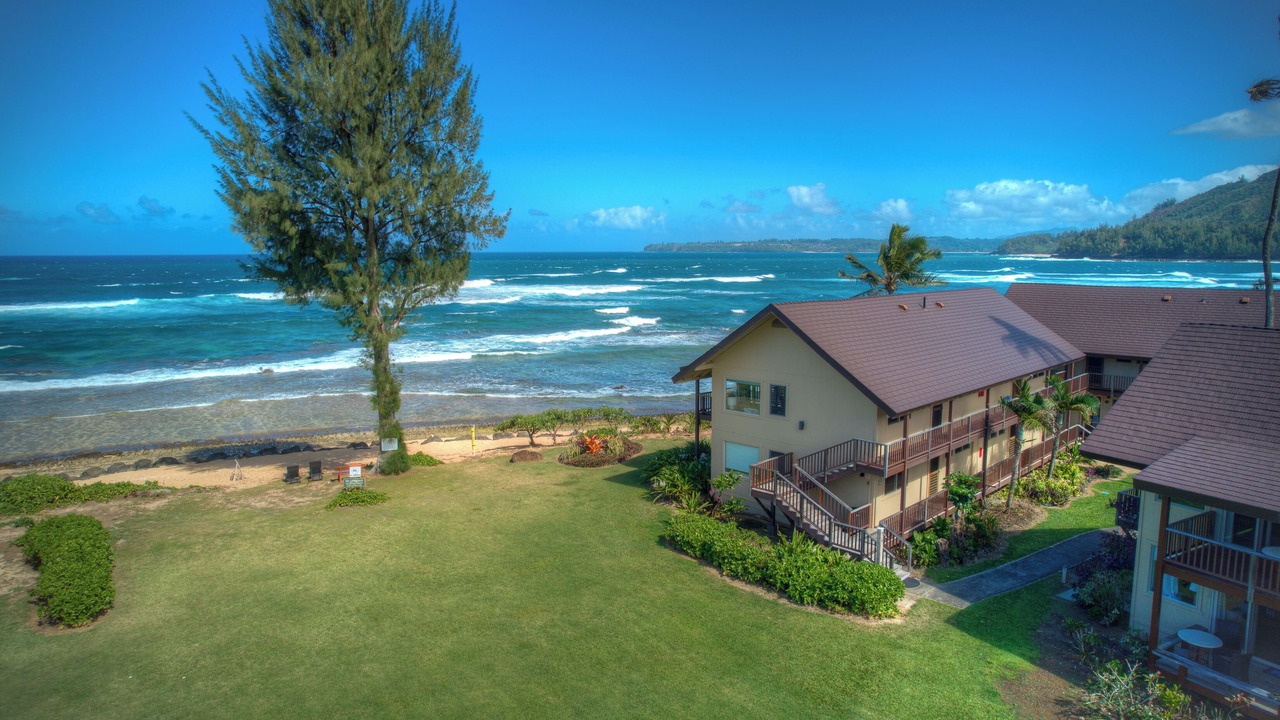Photo of Outdoor in Wainiha