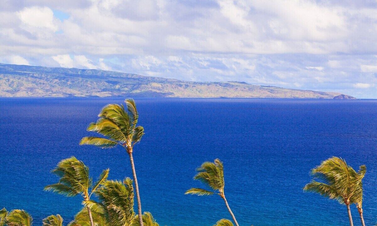 Photo of Others in Kapalua