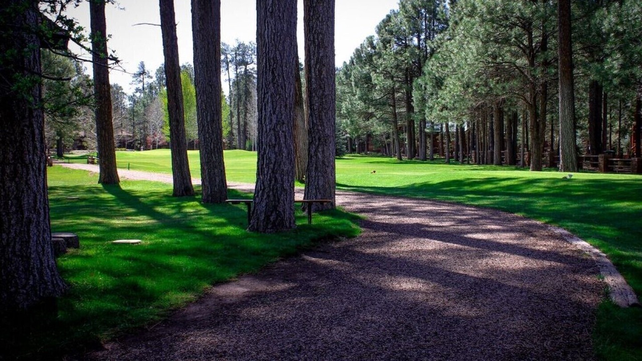 Photo of Outdoor in Pinetop