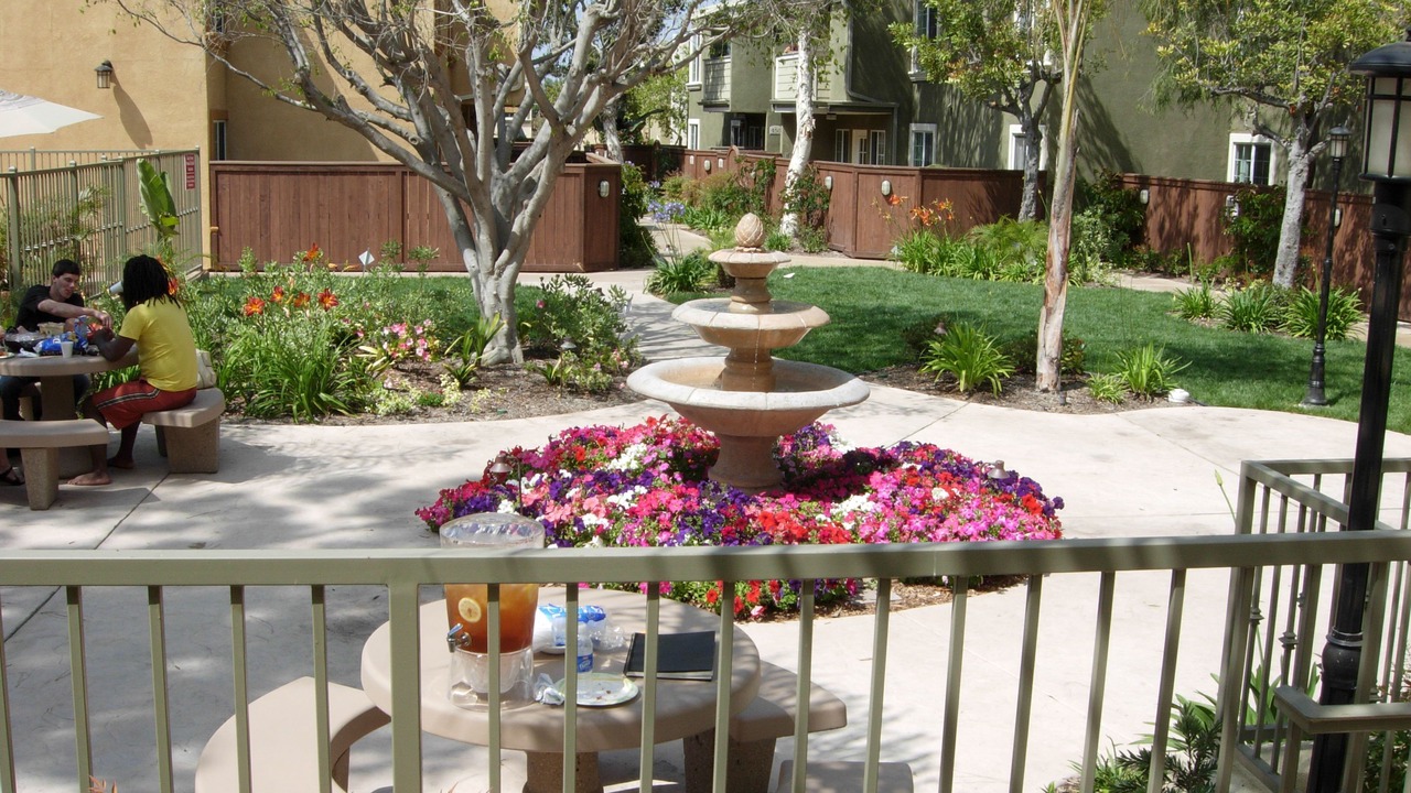 Photo of Outdoor in Clairemont