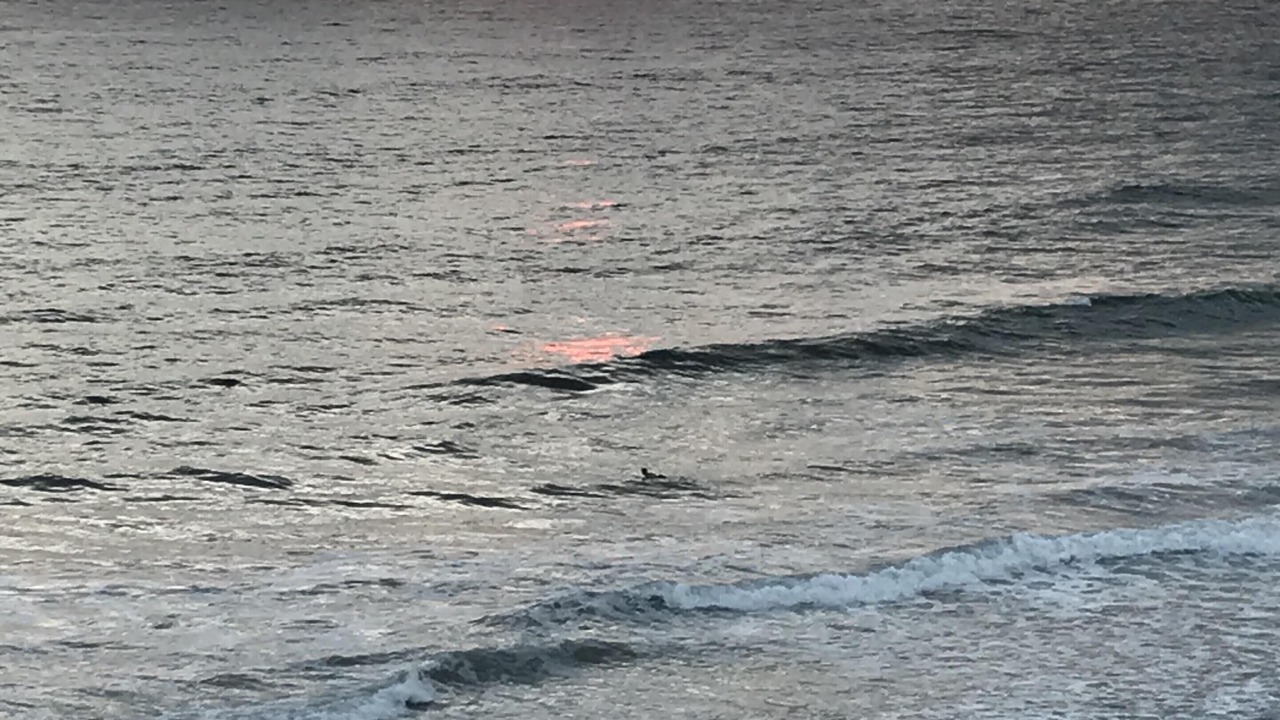 Photo of Others in Torrey Preserve