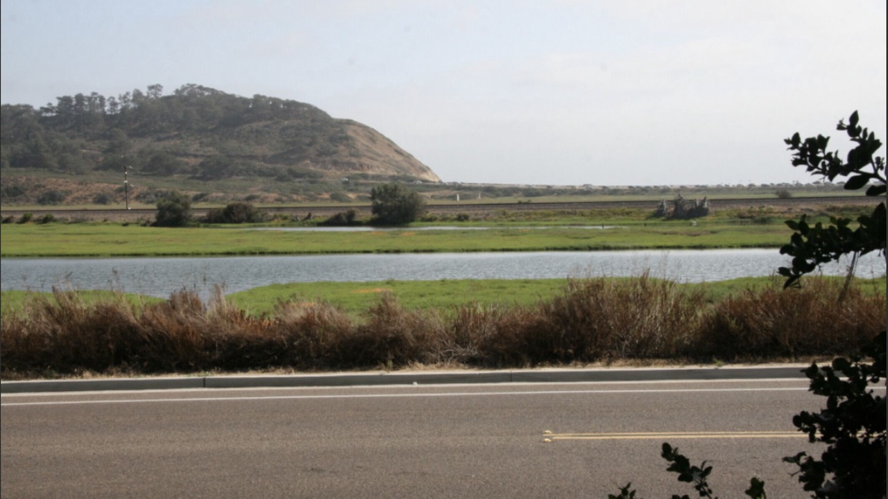 Photo of Others in Torrey Preserve