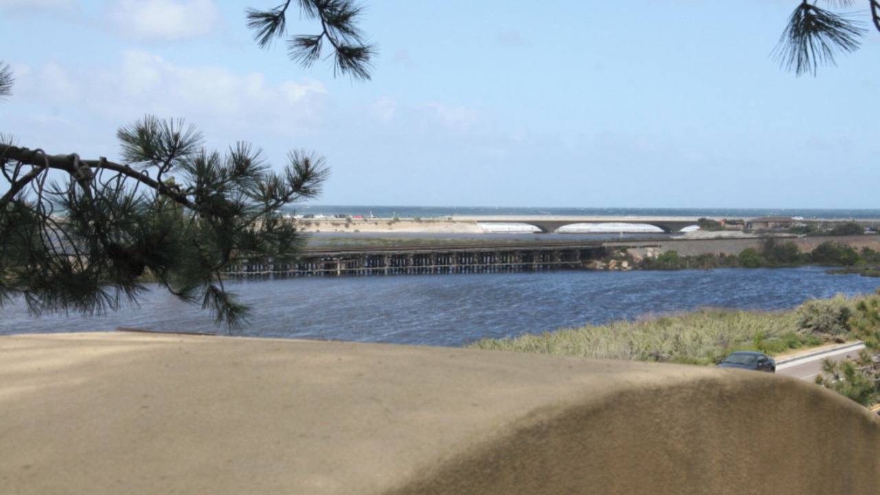 Photo of Others in Torrey Preserve