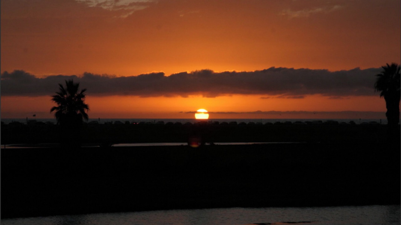 Photo of Others in Torrey Preserve