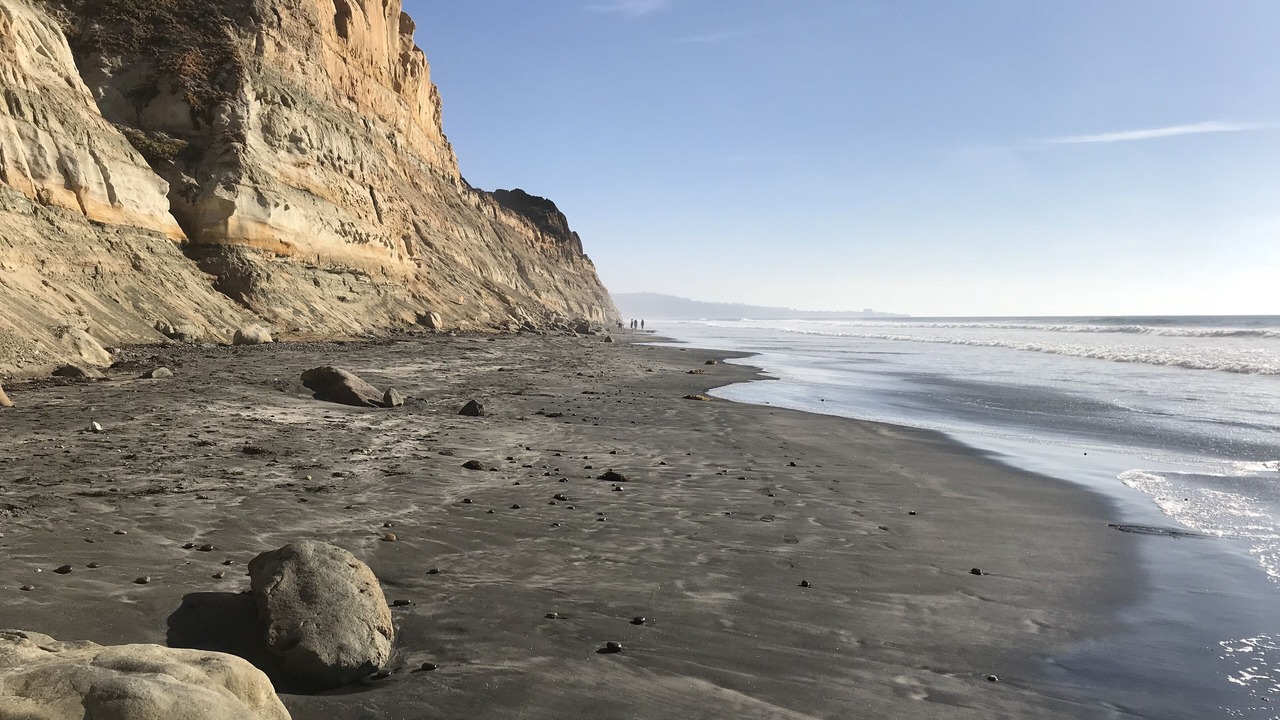 Photo of Others in Torrey Preserve