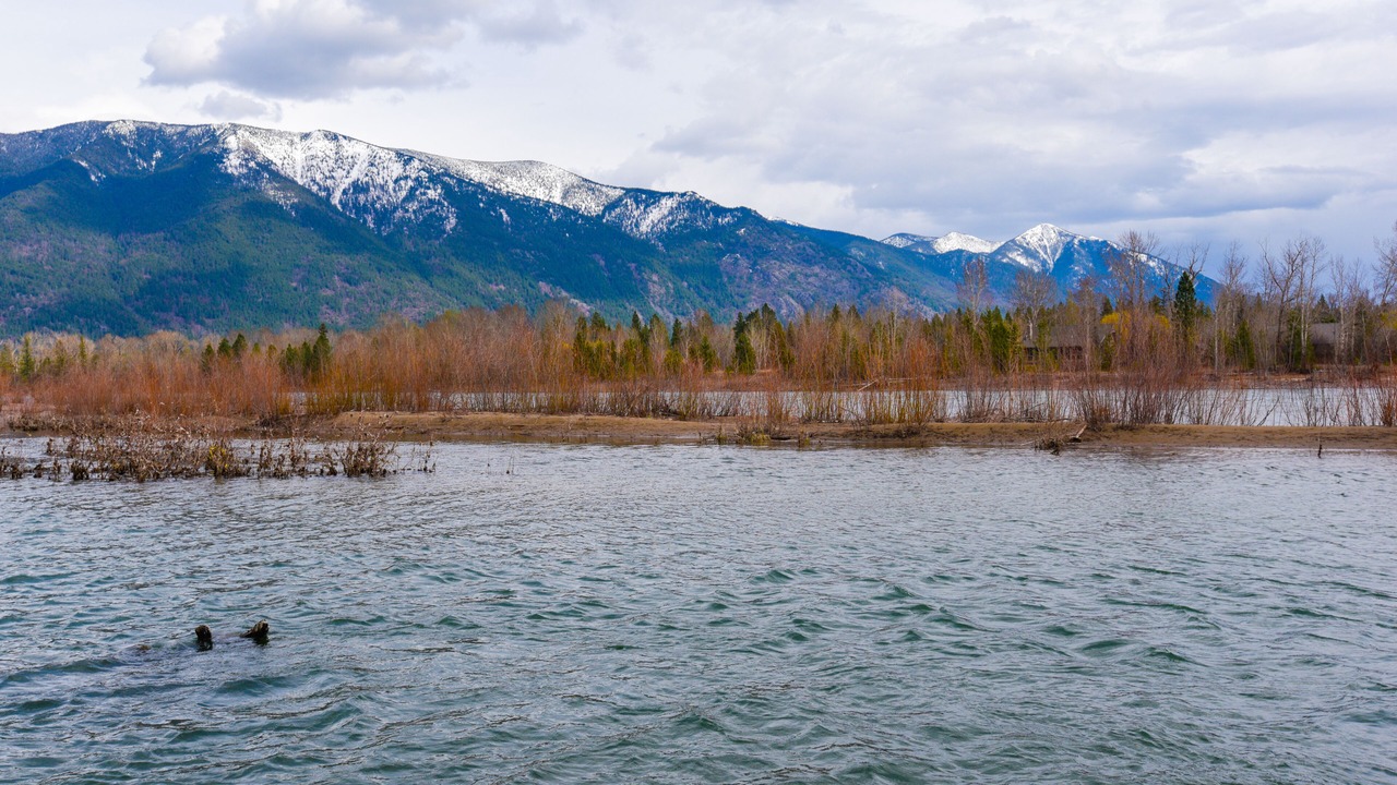 Photo of Others in Columbia Falls
