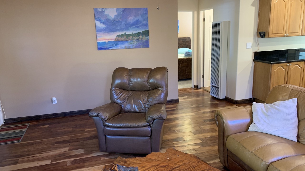 Photo of Livingroom in North Pacific Beach