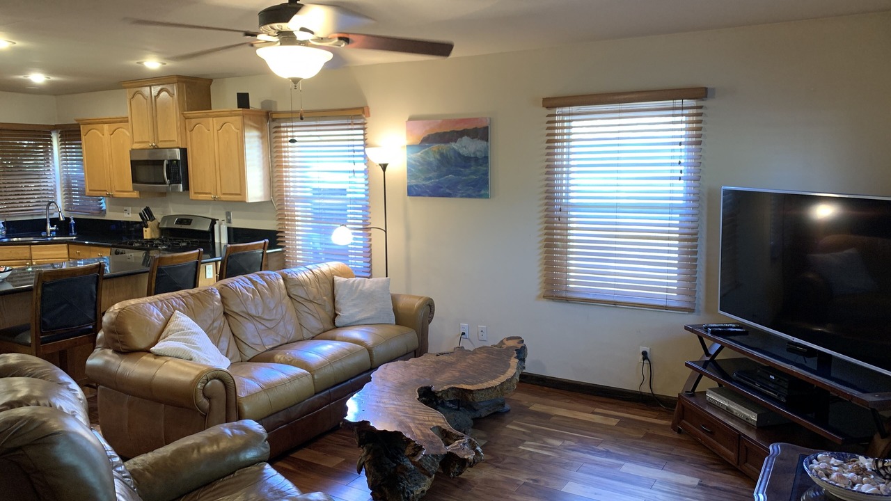 Photo of Livingroom in North Pacific Beach