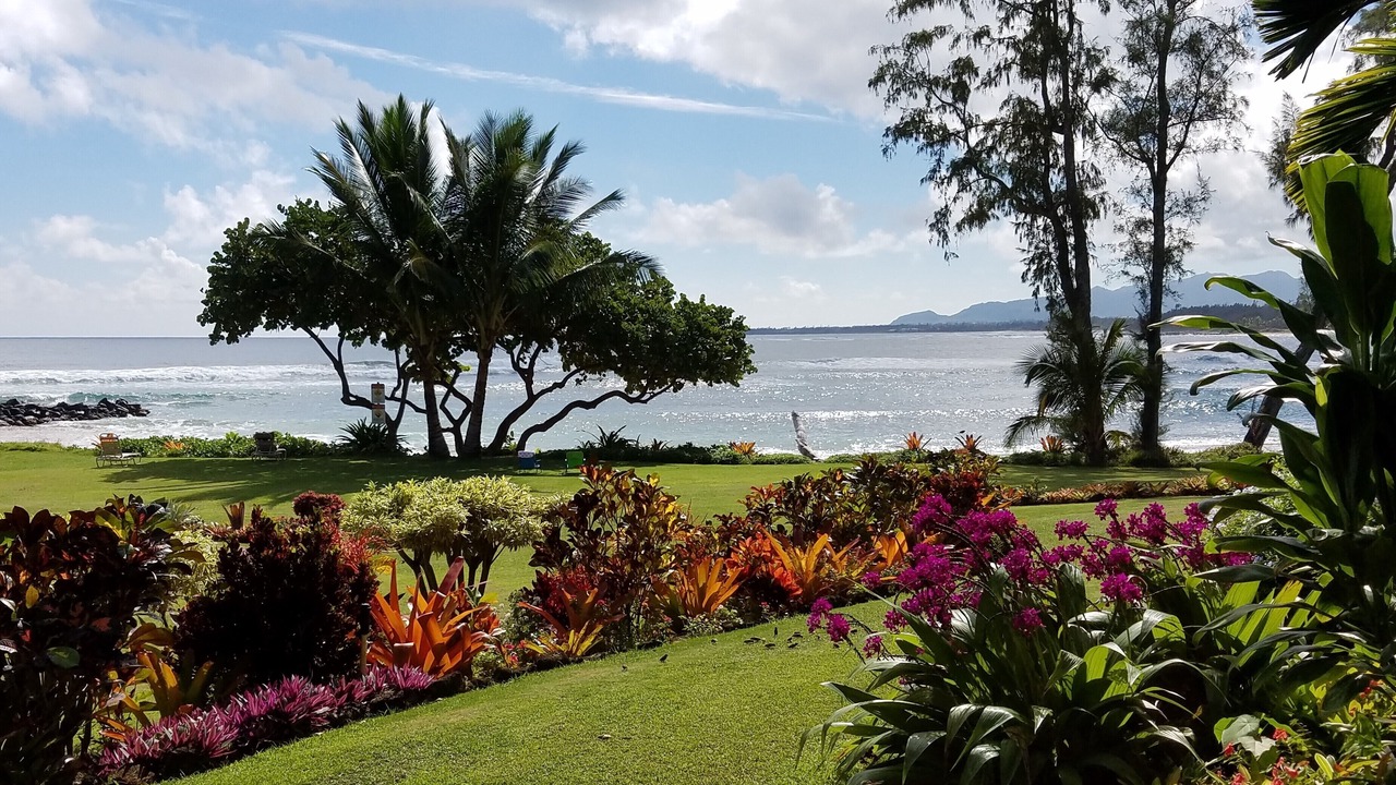 Photo of Others in Wailua