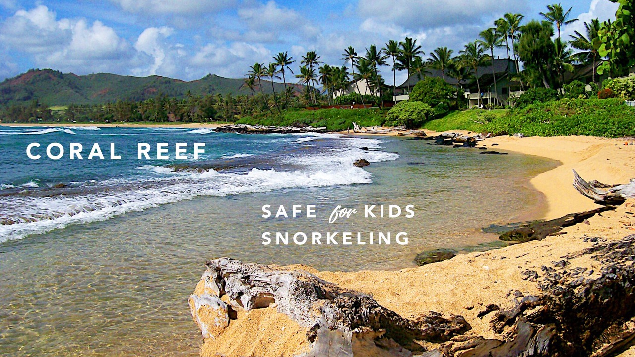 Photo of Others in Wailua