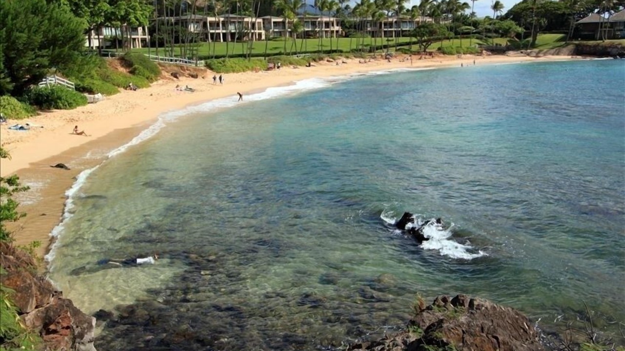 Photo of Others in Kapalua