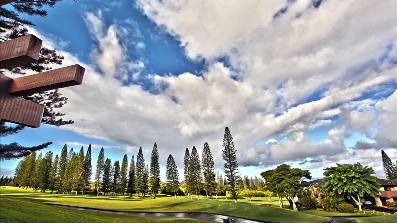 Photo of Others in Kapalua