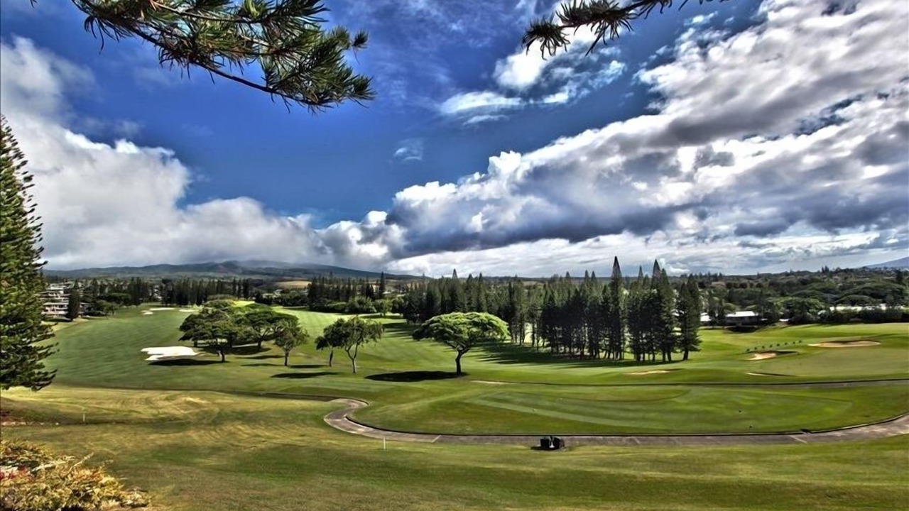 Photo of Others in Kapalua