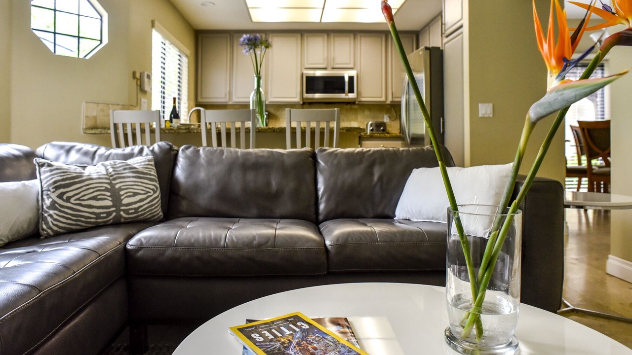 Photo of Livingroom in University City