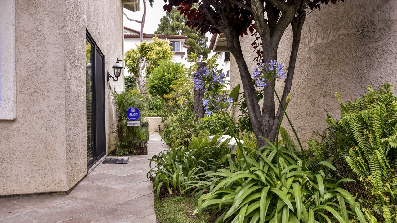Photo of Outdoor in University City