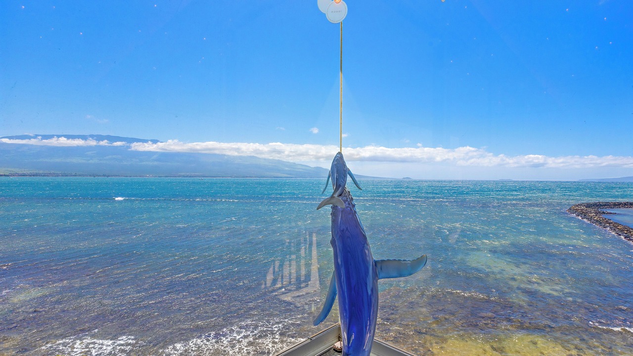 Photo of Others in Maalaea