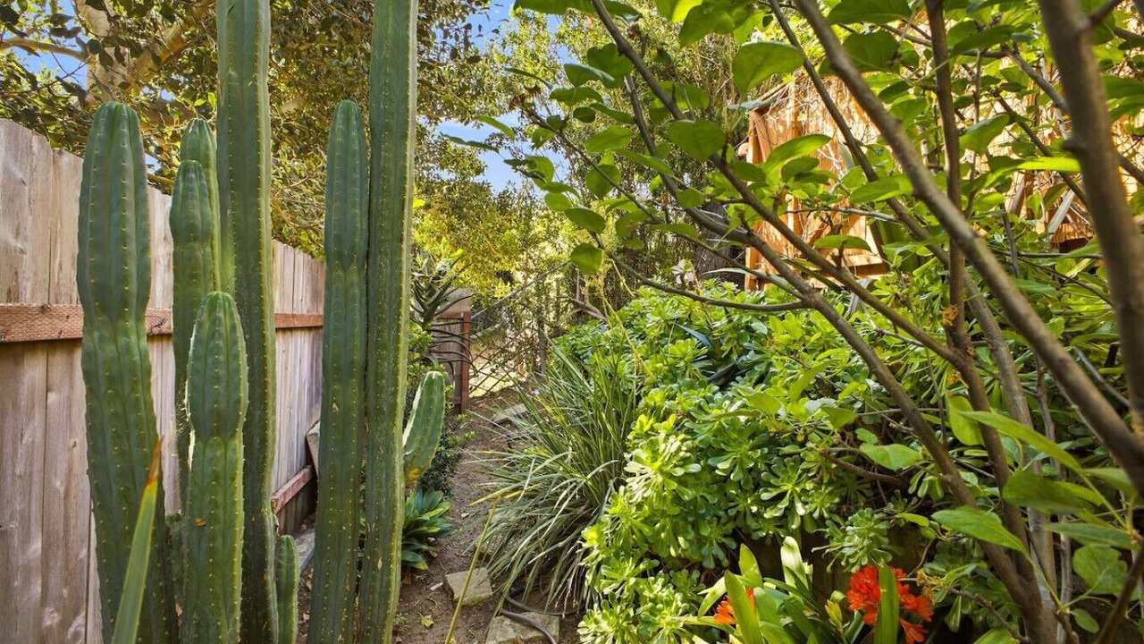 Photo of Outdoor in Clairemont