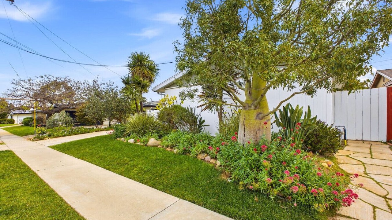 Photo of Outdoor in Clairemont