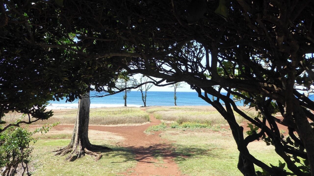 Photo of Others in Maunaloa
